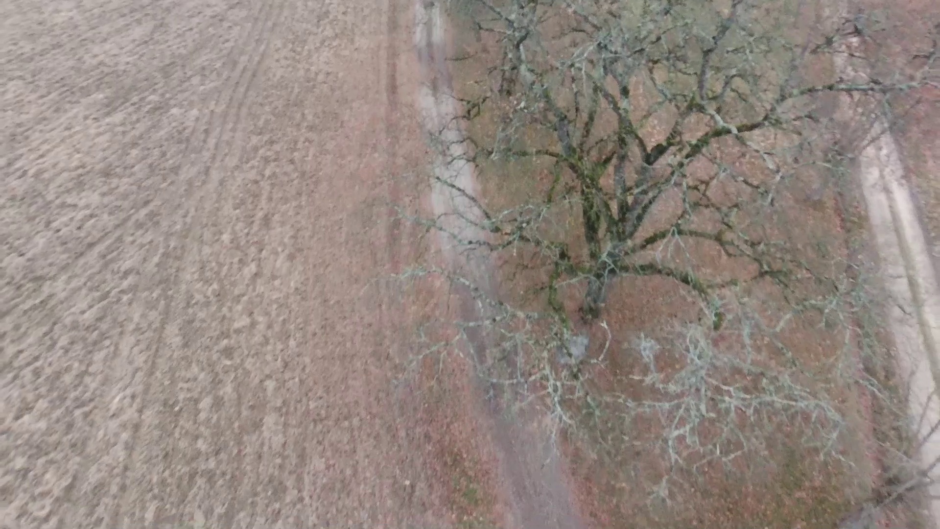 Dailymotion Survol en drone