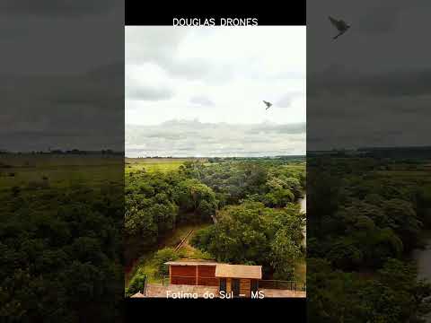 Image youtube